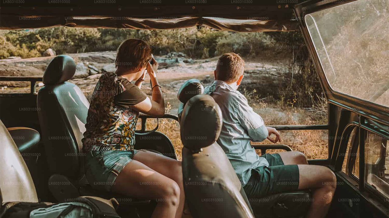 Yala Nationaal Park Safari vanuit Ahangama