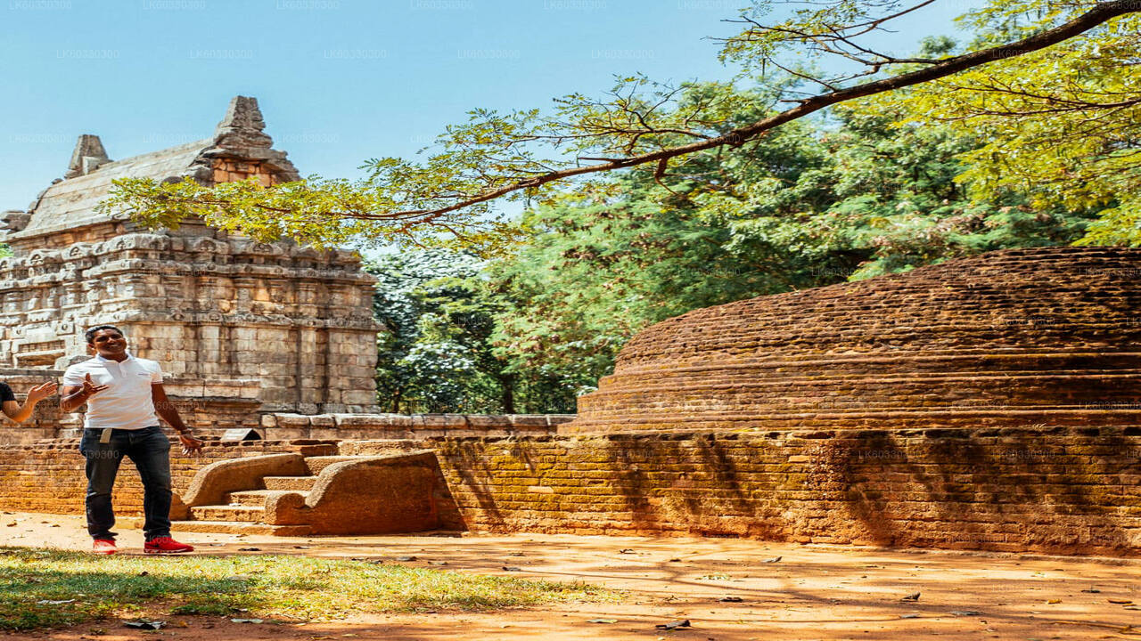 Sigiriya en Dambulla uit Colombo