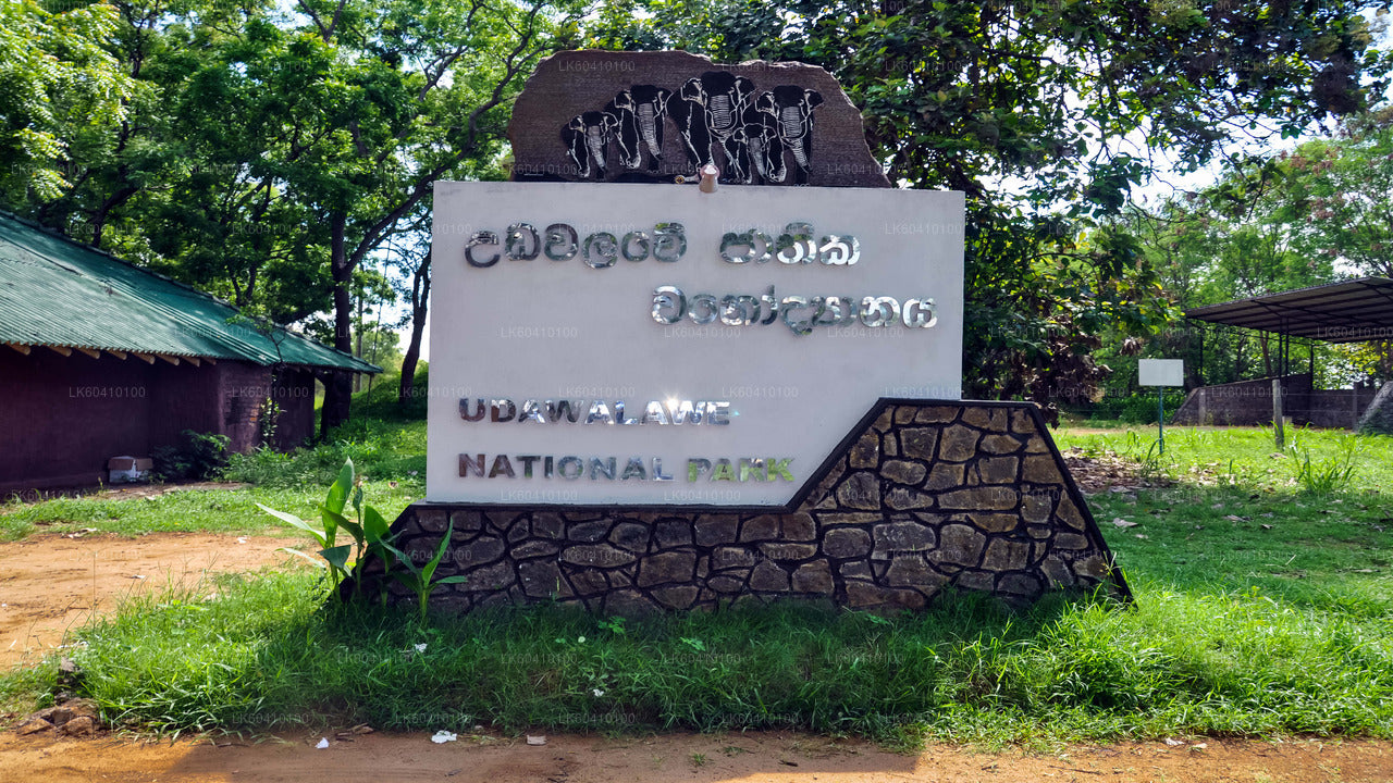 Udawalawe National Park Safari vanuit Unawatuna
