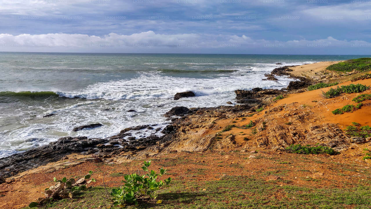 우나와투나 출발 분달라 국립공원 사파리