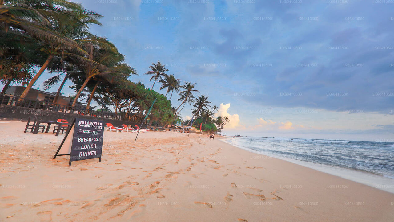 Hoogtepunten van de zuidkust vanuit Unawatuna