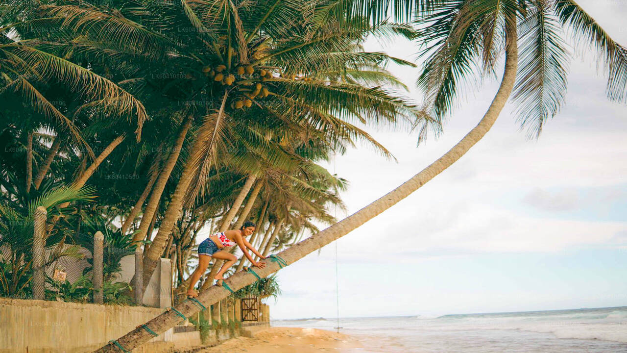 Hoogtepunten van de zuidkust vanuit Unawatuna