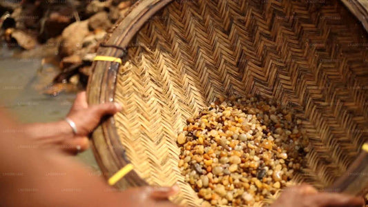 Ontdek edelsteenmijnen in Ratnapura vanaf Mount Lavinia