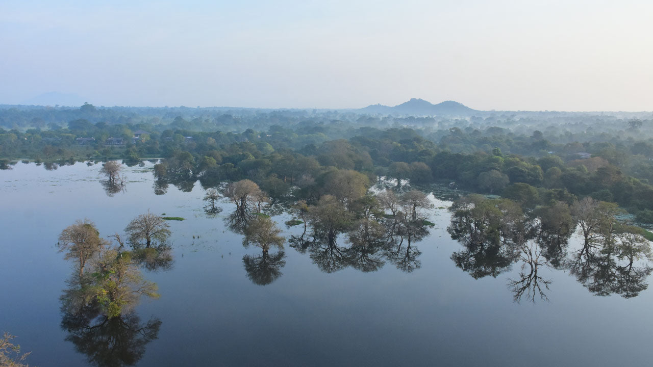 Ballonvaart vanuit Kandalama