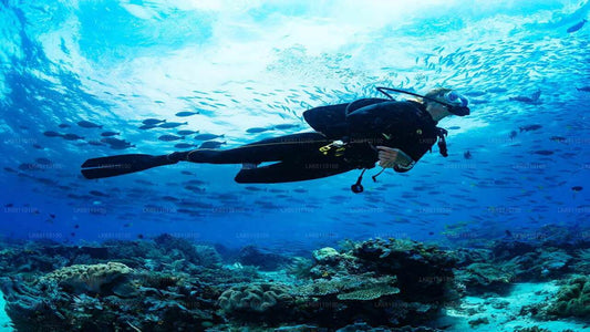 Professioneel duiken vanuit Bentota