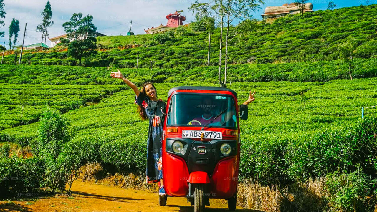 Tuk Tuk Adventure van Ella
