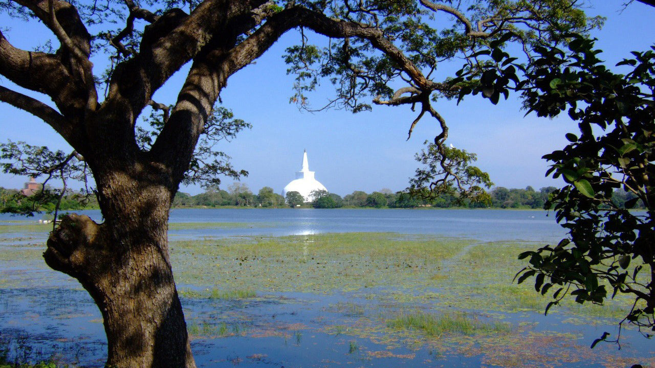 Toegangskaartje voor het heilige gebied van Anuradhapura