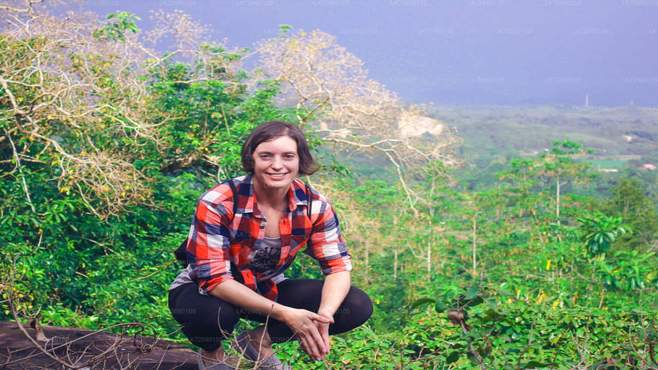 Rotsklimmen in het bos vanaf Mount Lavinia