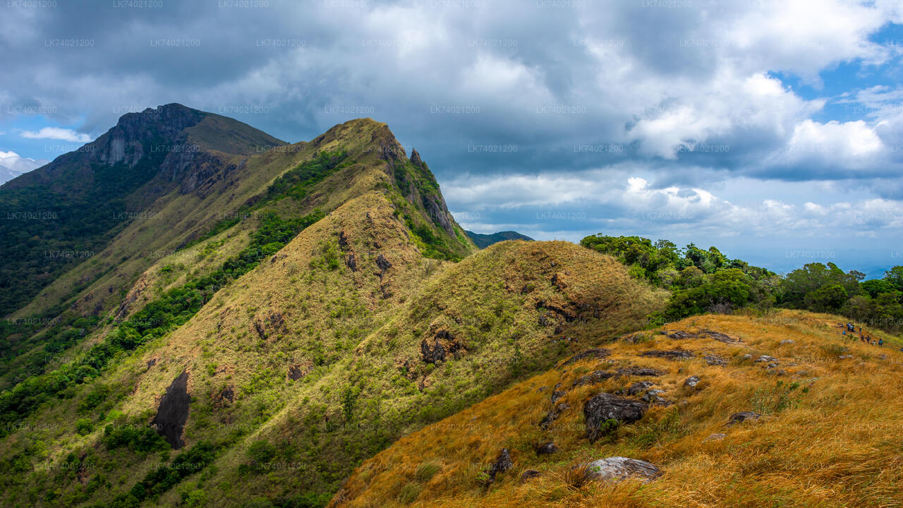 Kehelpothdoruwegala-wandeling vanuit Kandy