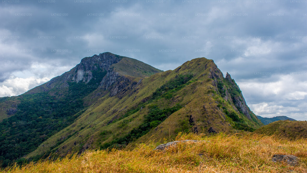 Kehelpothdoruwegala-wandeling vanuit Kandy