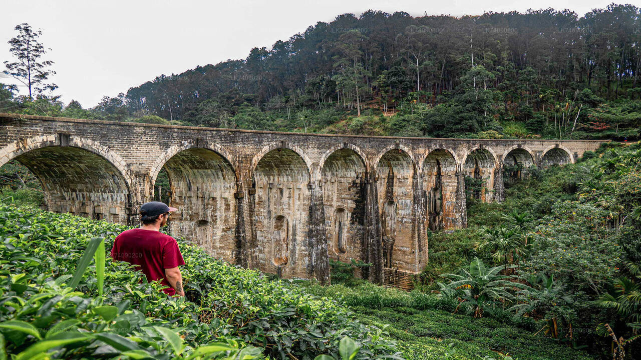 Wandeling naar Little Adam's Peak en Nine Arches Bridge vanuit Ella