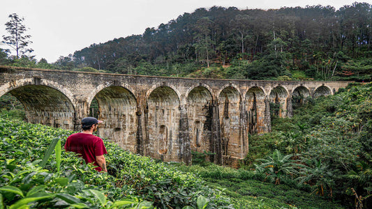 Wandeling naar Little Adam's Peak en Nine Arches Bridge vanuit Ella