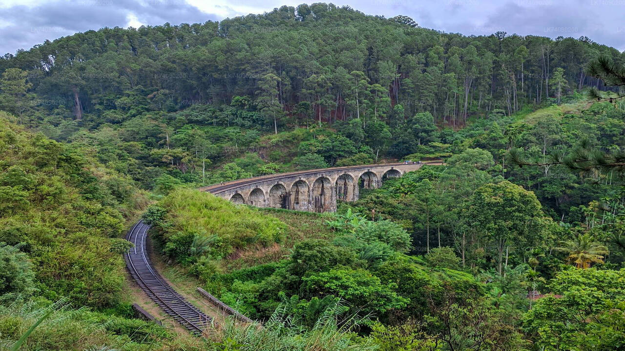 Wandeling naar Little Adam's Peak en Nine Arches Bridge vanuit Ella