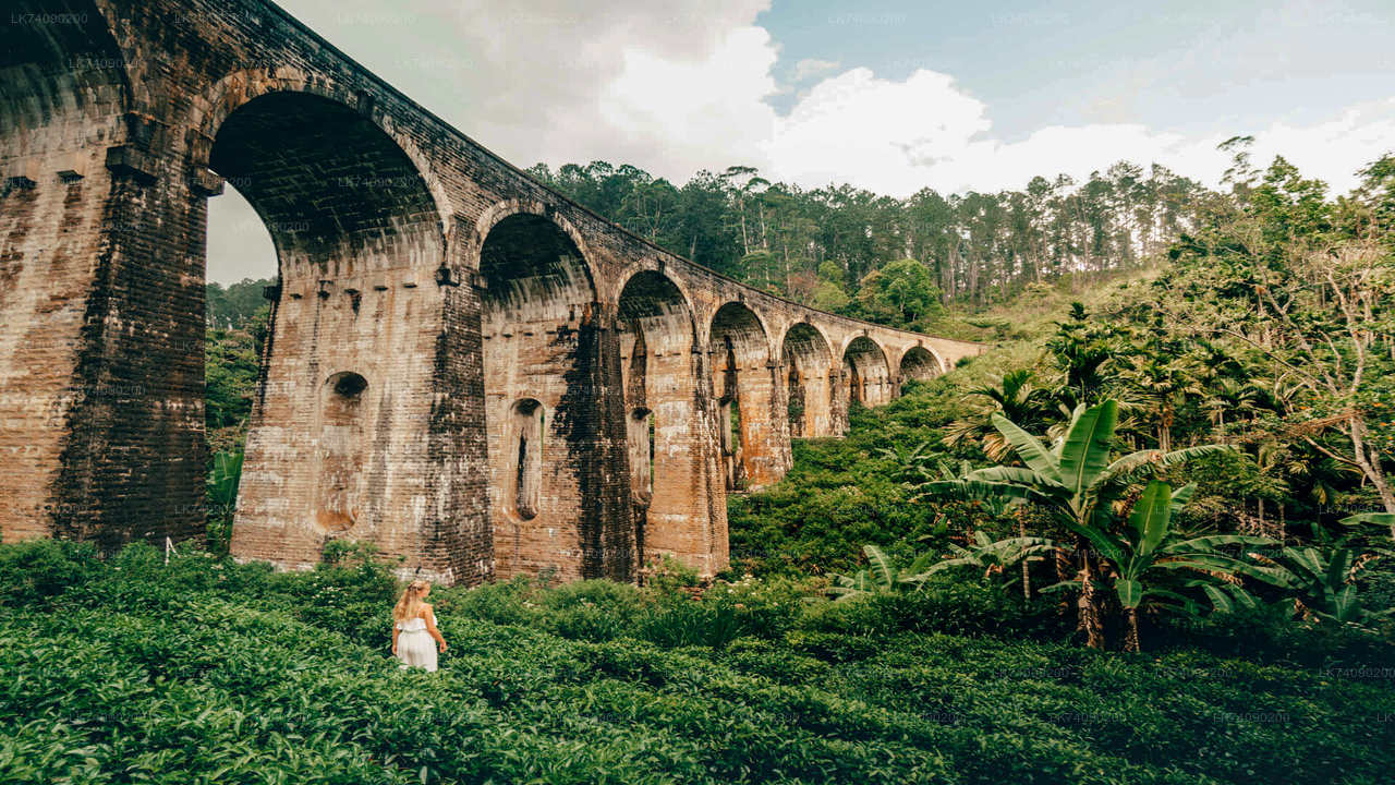 Wandeling naar Little Adam's Peak en Nine Arches Bridge vanuit Ella