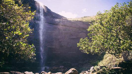 Kota Ganga Waterfall Hike from Kandy