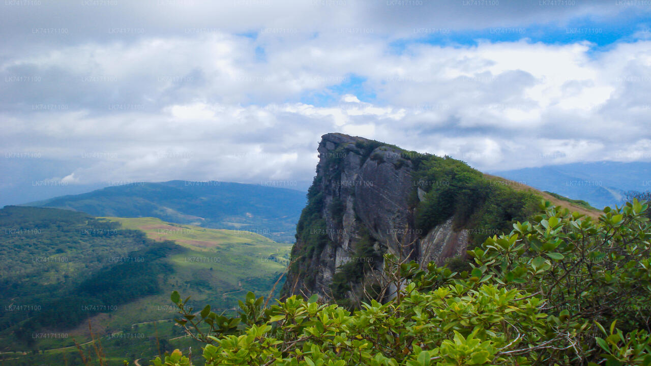 Trekking naar Heeloya Village vanuit Kandy