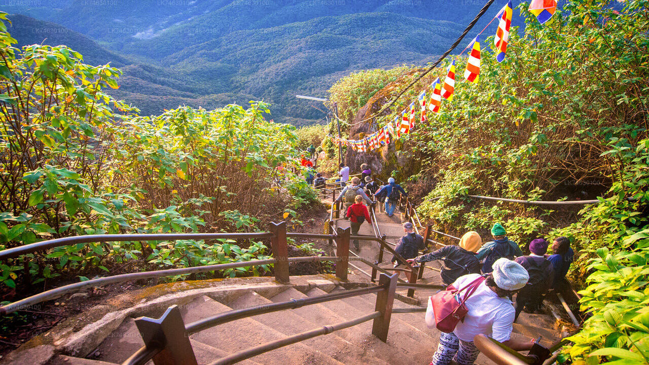 Nachtwandeling naar Adam's Peak