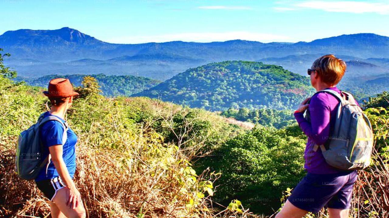 Wandeling naar Bible Rock vanuit Kegalle