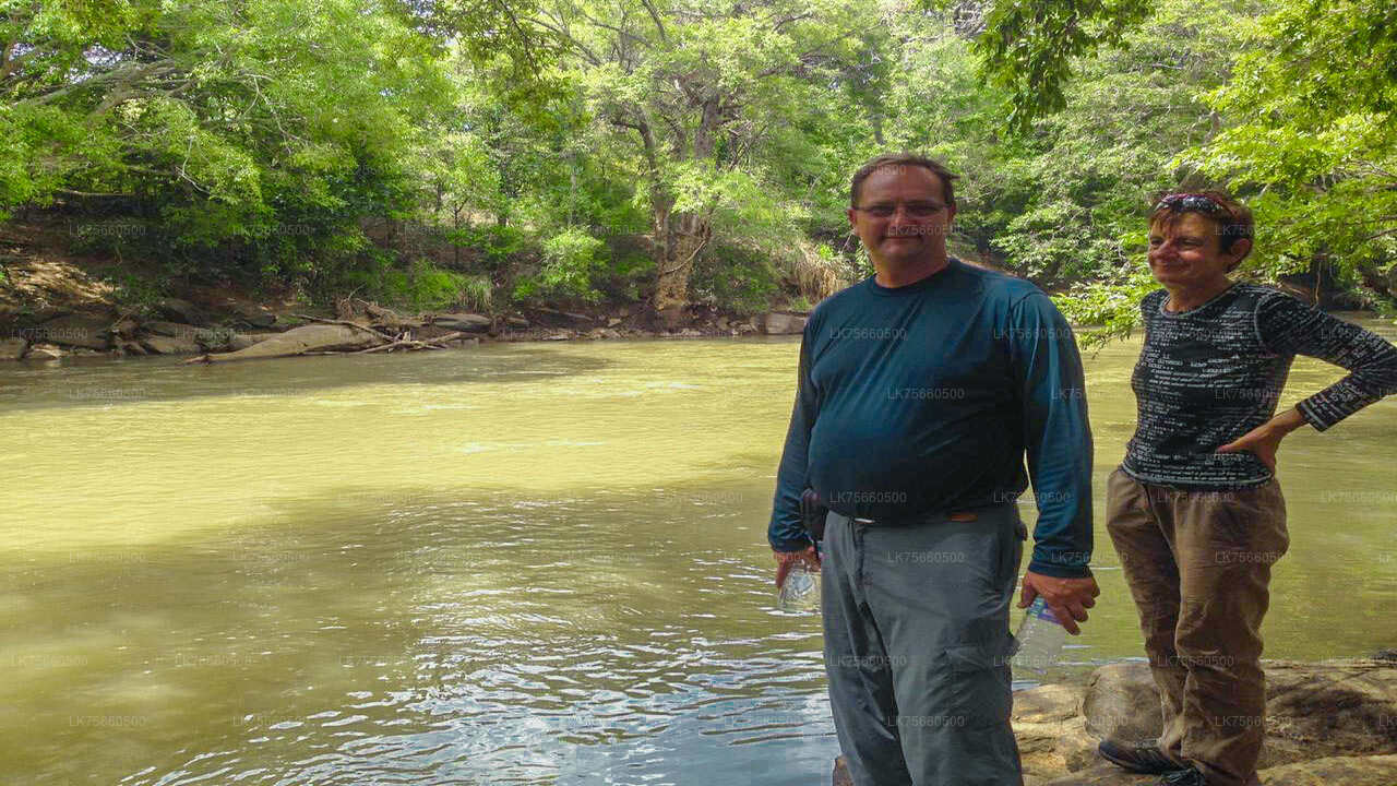 Vogelsafari in het Udawalawe National Park vanaf Mount Lavinia