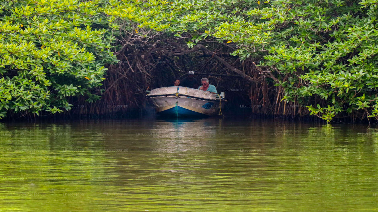 Bentota stadstour en Galle vanuit Beruwala