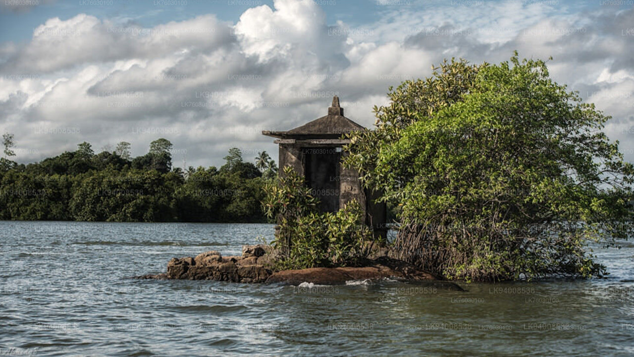 Madol Duwa Island and Mangroves by Boat from Koggala