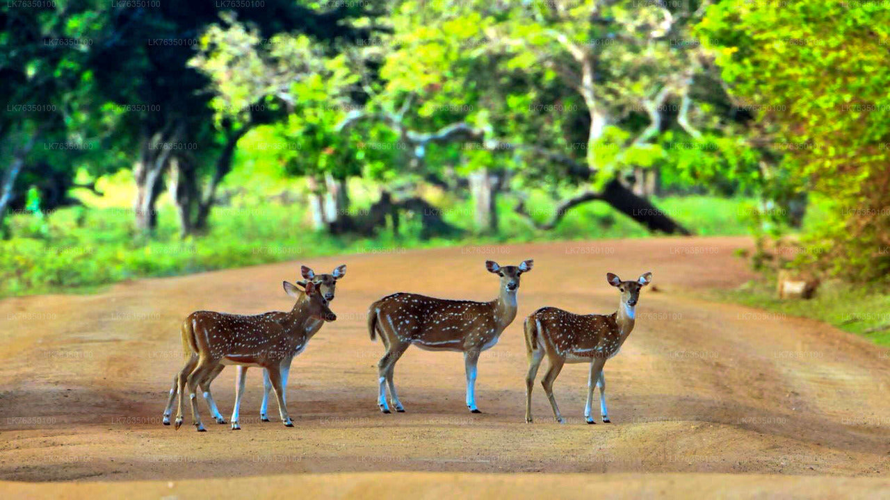 Boottocht op het Tissamaharama-meer