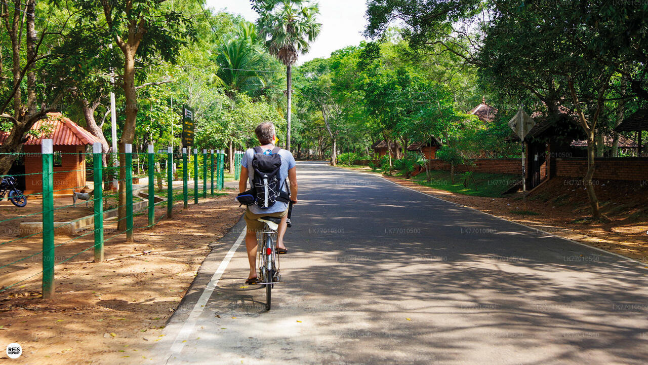 Colombo Countryside Cycling Tour