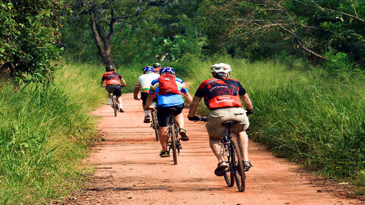 Balana Battlefield-fietstocht vanuit Kandy