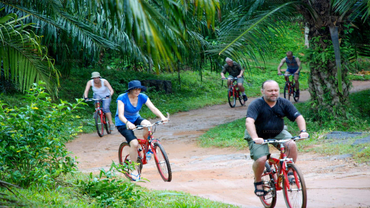 3 Temple Loop-fietstocht vanuit Kandy