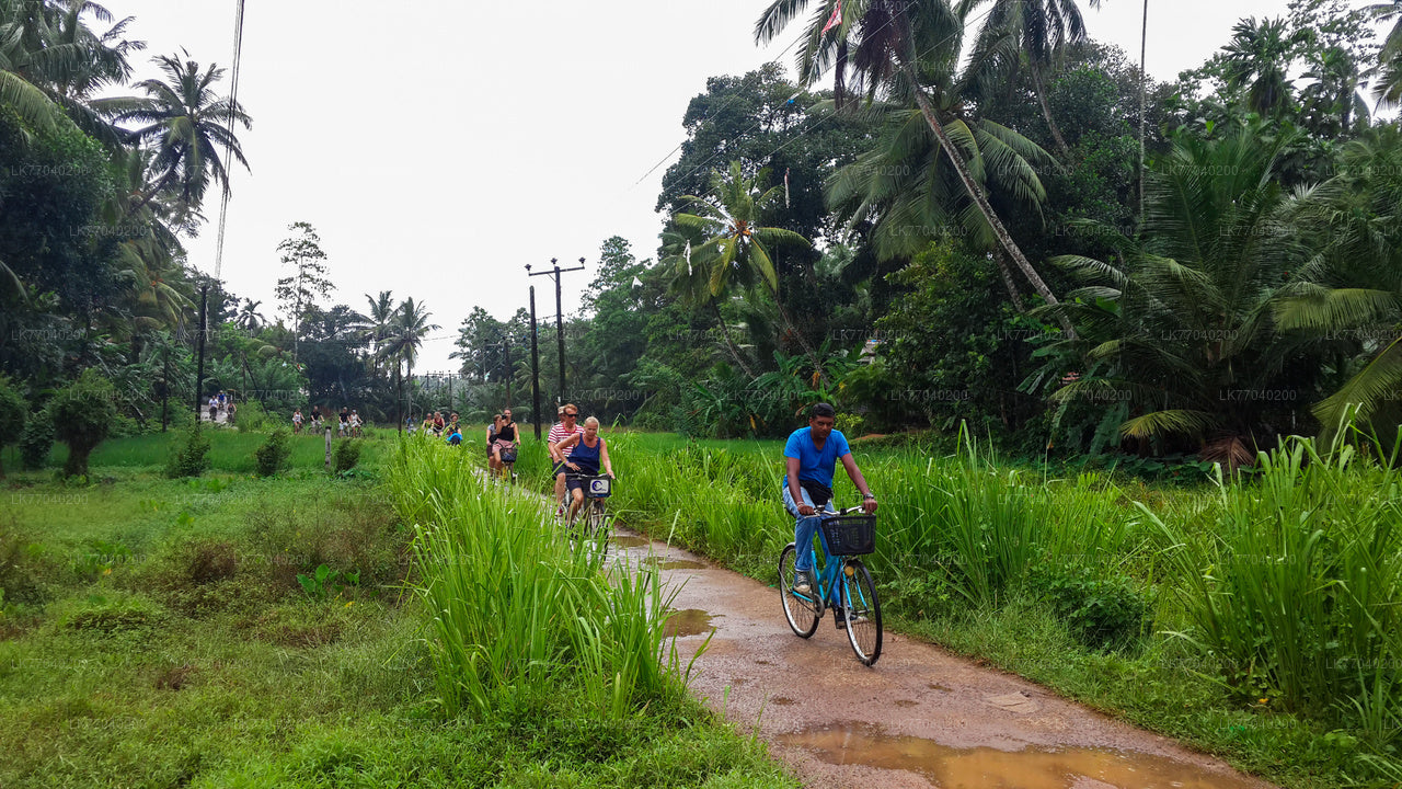 Lagoon Village op de fiets vanuit Galle