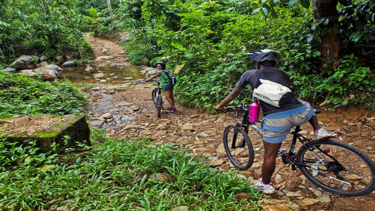 Mountainbiken vanuit Galle