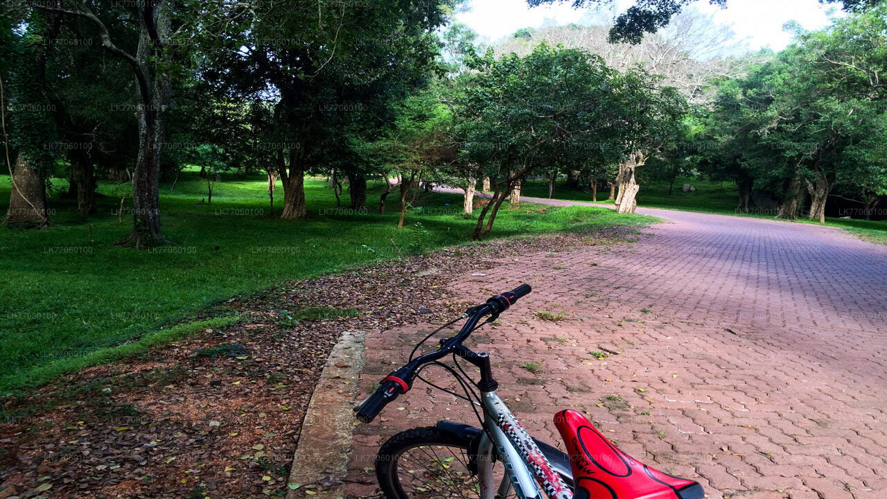 Fietsen vanuit Anuradhapura