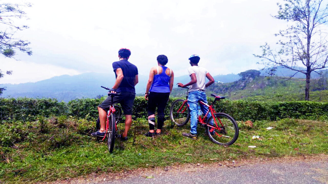 Avontuurlijk fietsen van Ella