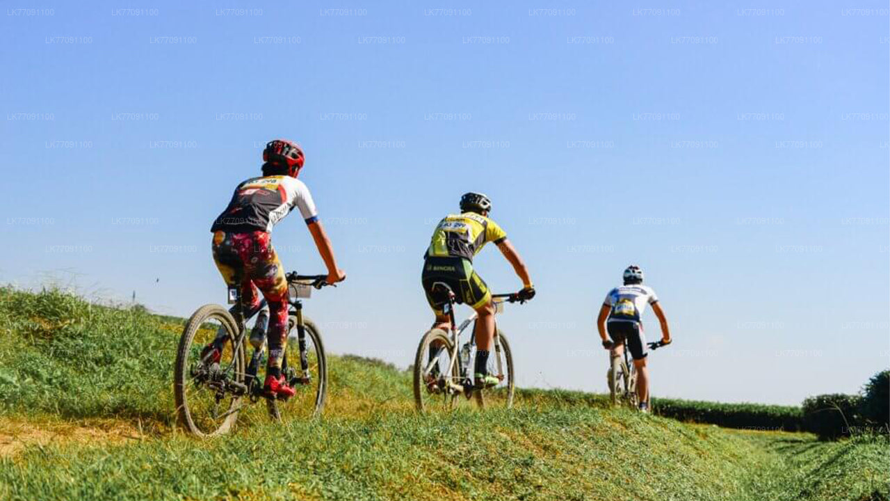 Avontuurlijk fietsen van Ella