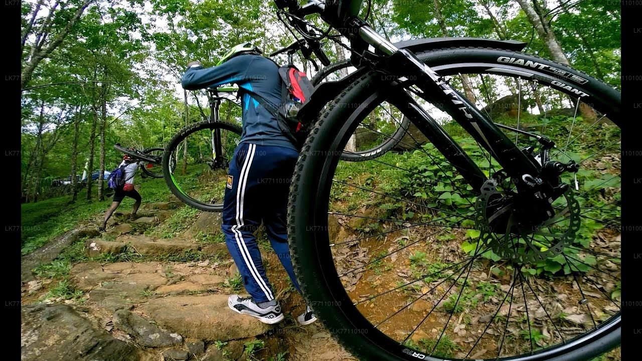 Fietsen vanuit Hikkaduwa