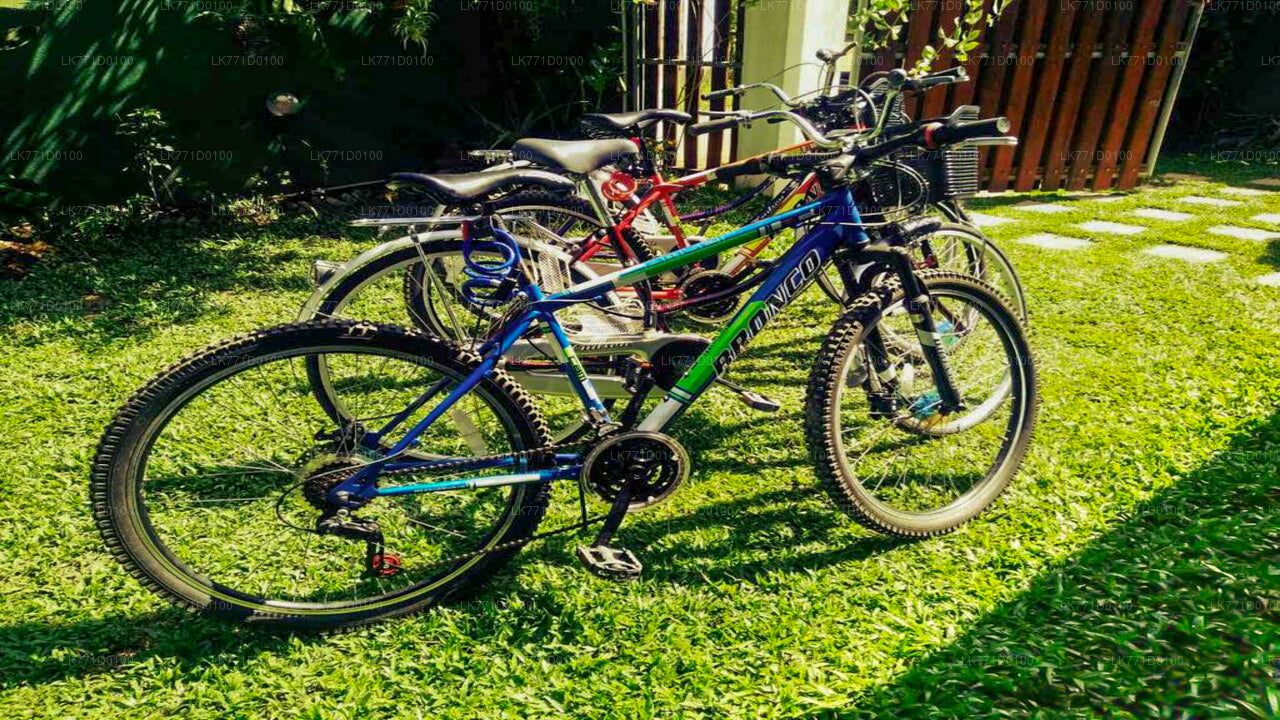 Cycling from Kitulgala