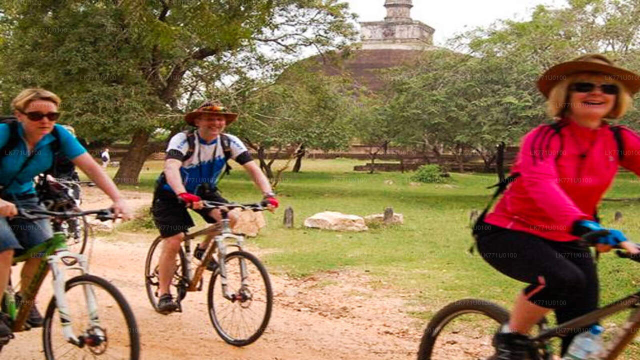 Fietsen door oude ruïnes vanuit Polonnaruwa