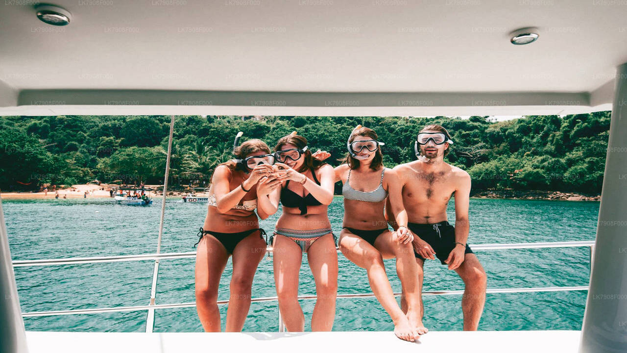 3 nachten cruisevakantie in Mirissa