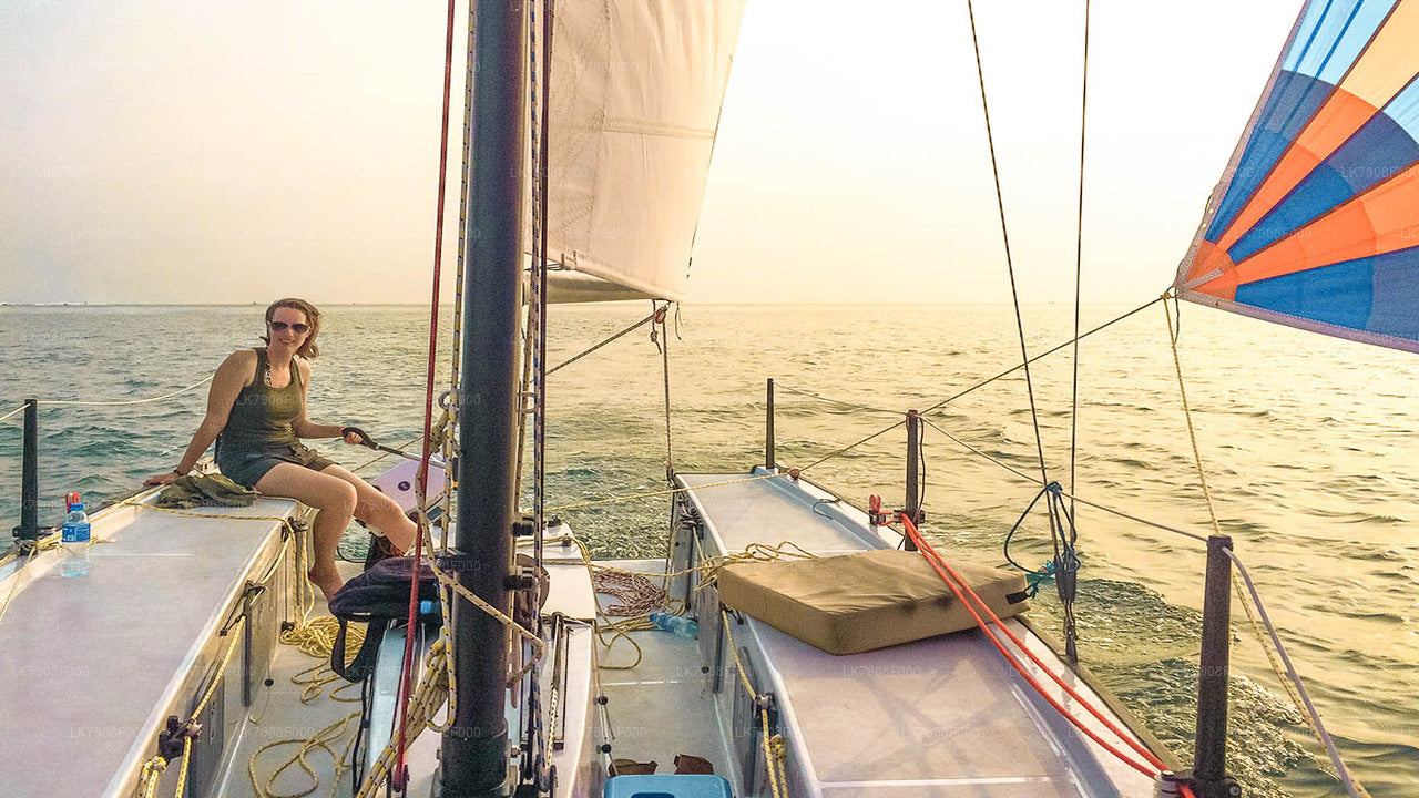 3 nachten cruisevakantie in Mirissa