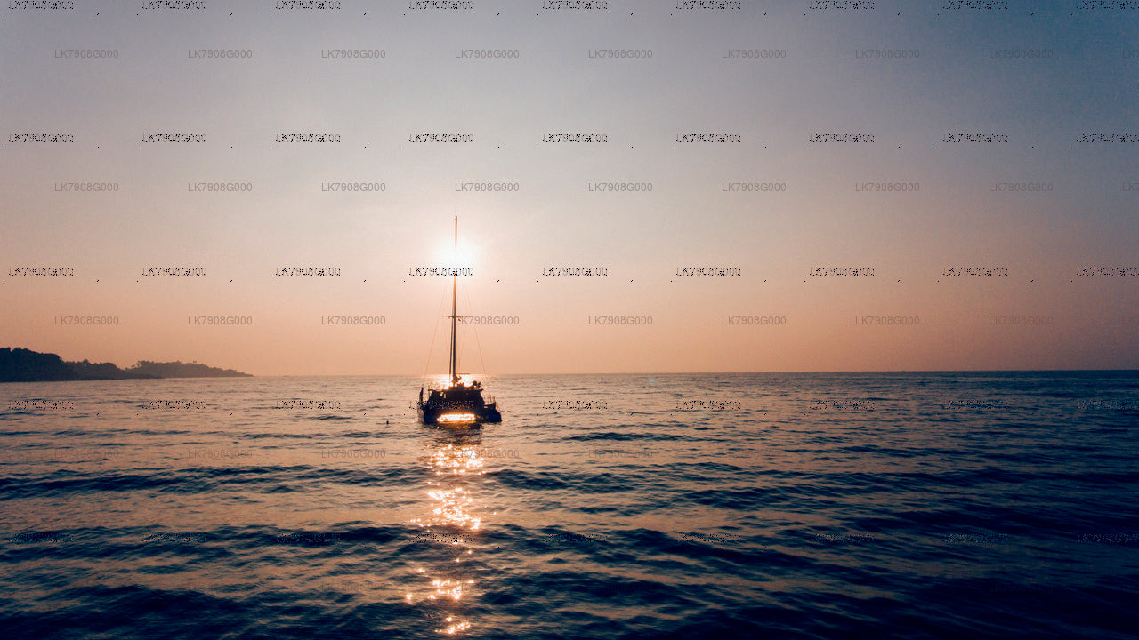 2 nachten cruisevakantie in Mirissa