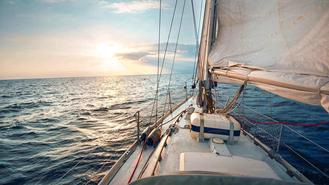 2 nachten cruisevakantie in Mirissa