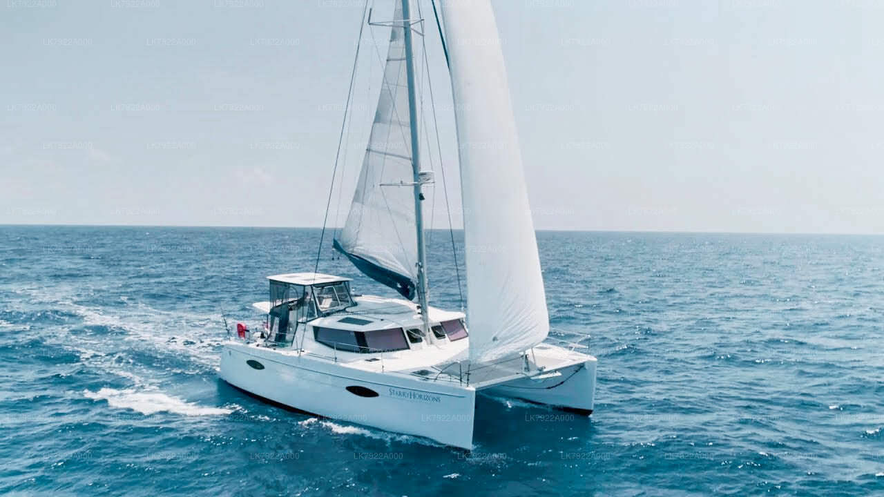 Walvissen spotten per jacht vanuit Trincomalee