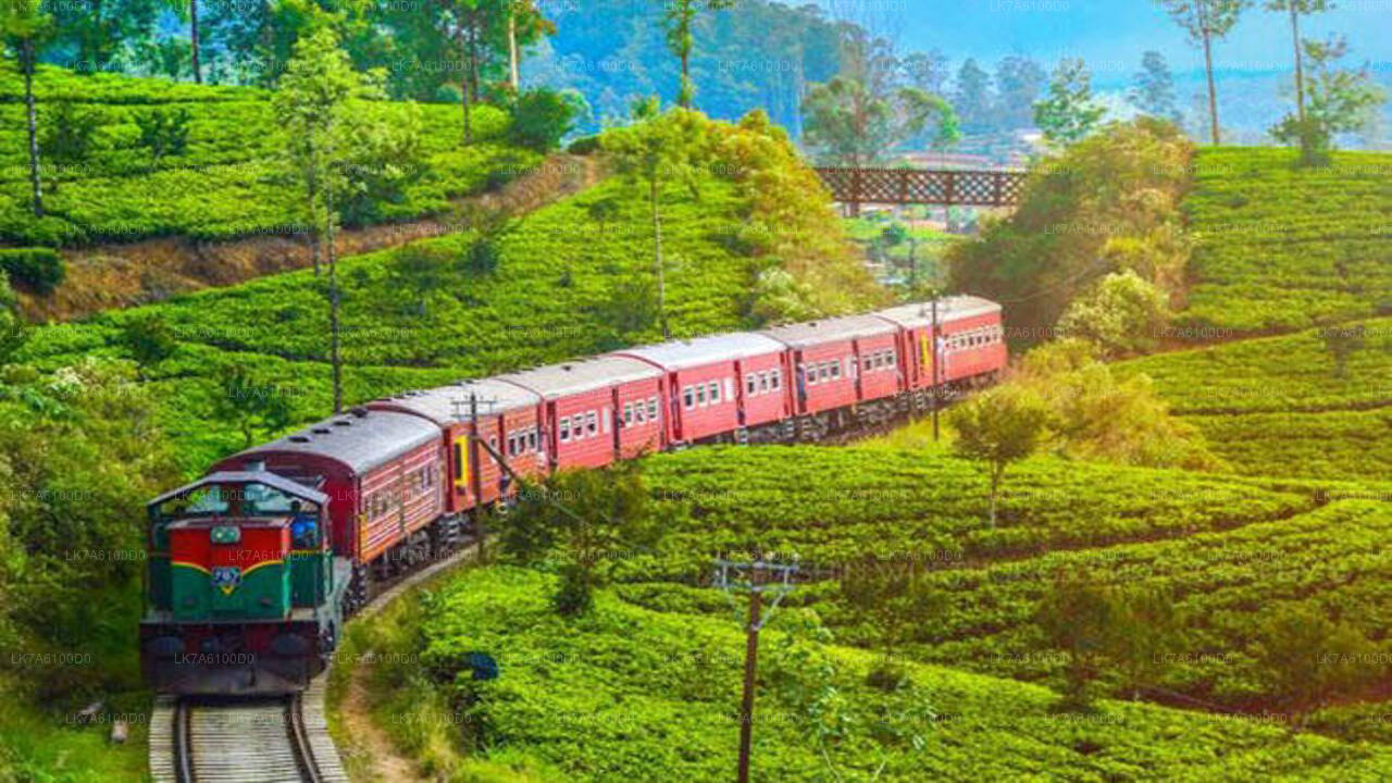 Treinrit van Badulla naar Colombo (Trein № 1016 "Udarata Menike")