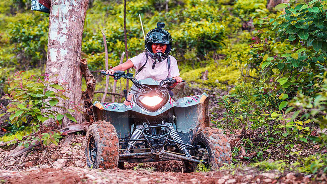 Ella Scenic Tour and ATV Adventure from Ella