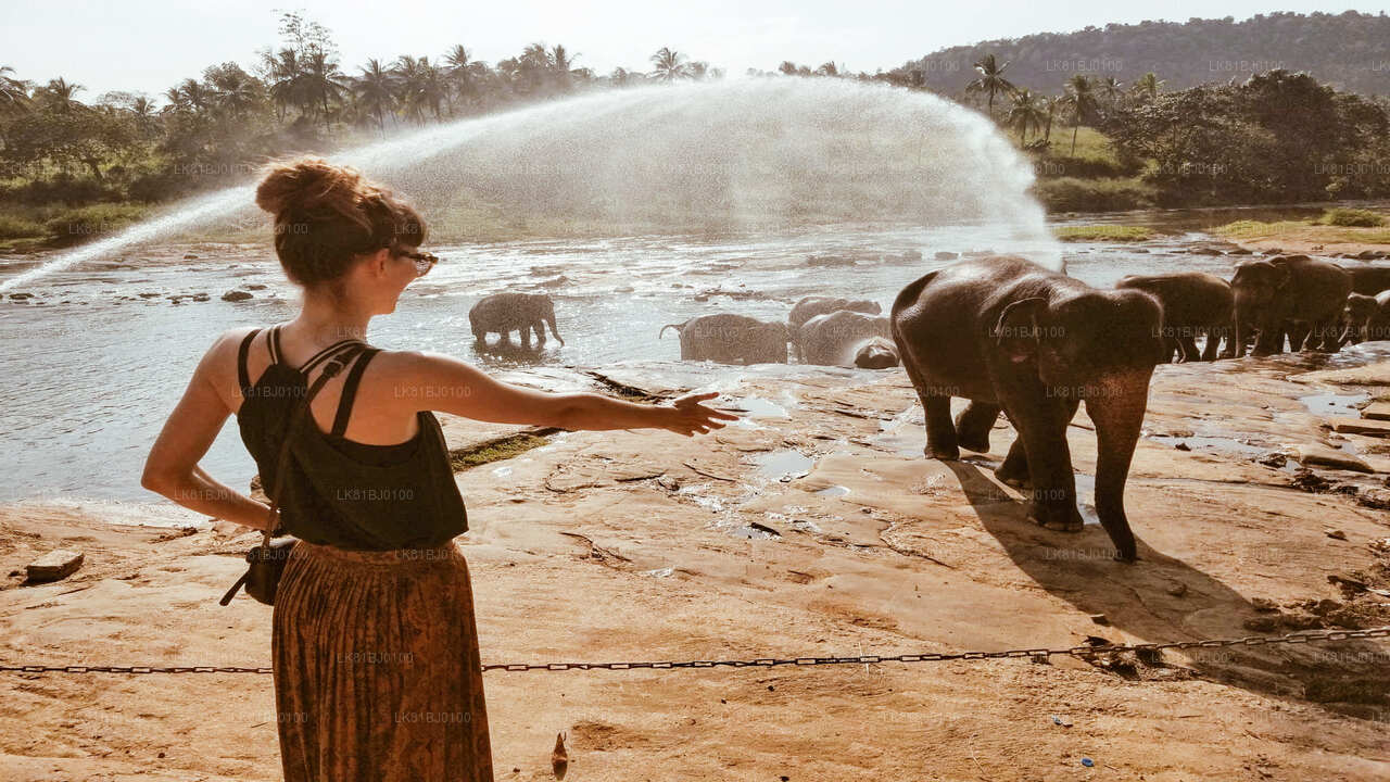 Kandy-stadstour vanuit de haven van Colombo