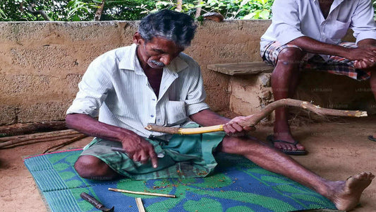 Stadstour naar Bentota vanuit de haven van Colombo
