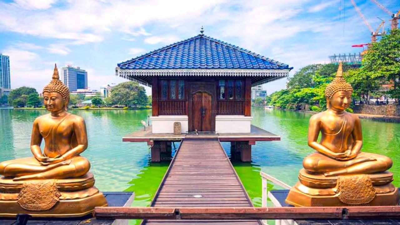 Boeddhistische iconografie-ervaring in Colombo