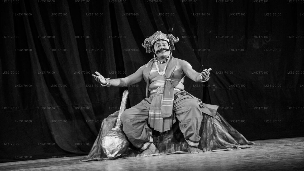 Een avond met een artiest