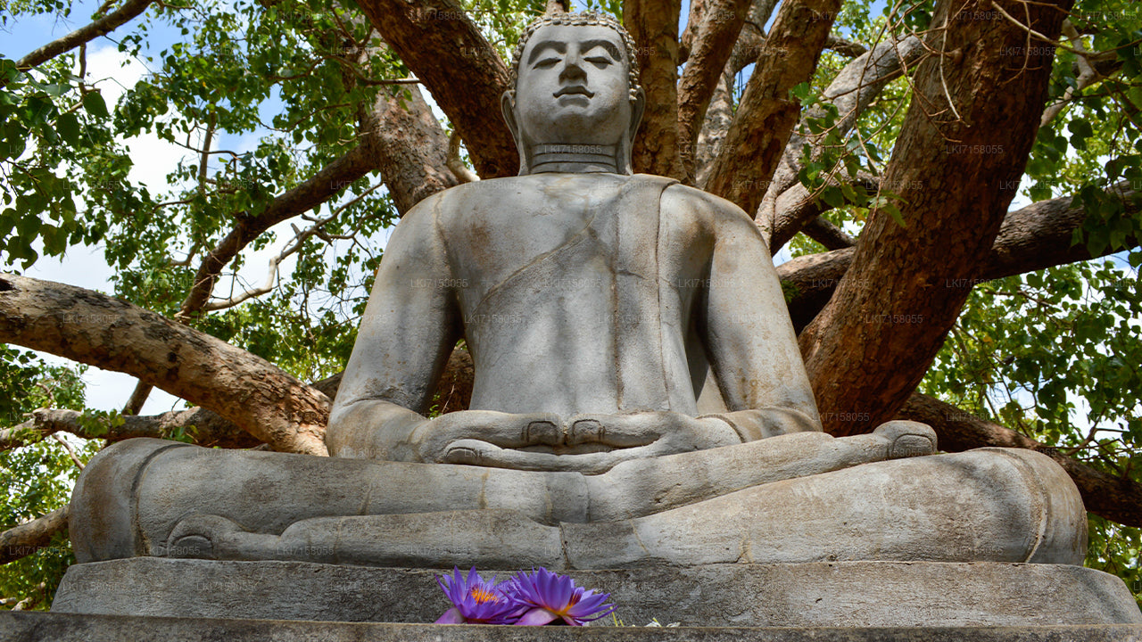 Spirituele ervaring vanuit Anuradhapura