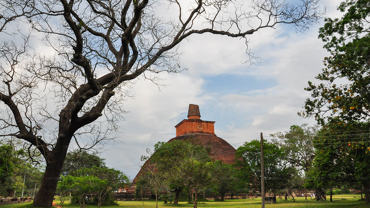 Spirituele ervaring vanuit Anuradhapura